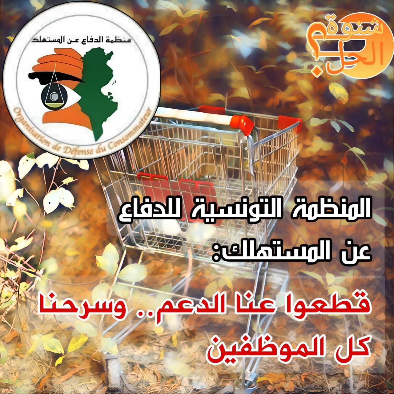 ما هي مصادر تمويل المنظمة التونسية الوحيدة للدفاع عن المستهلك في تونس؟
